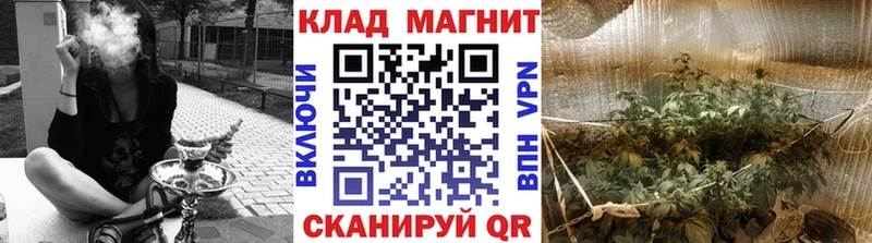 Где можно купить наркотики Новомосковск Гашиш  Кокаин  МЕФ 