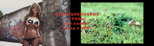 мяу мяу мука Иннополис