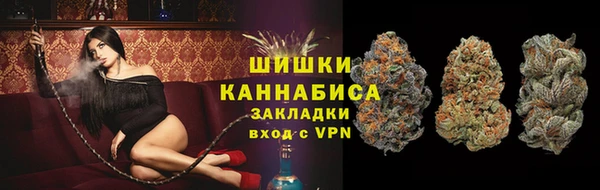 мяу мяу мука Иннополис
