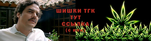 мяу мяу мука Иннополис