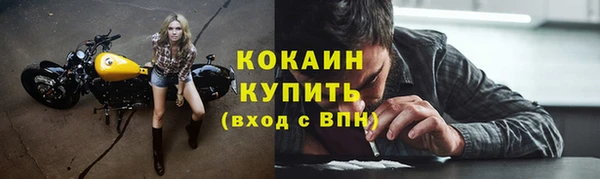 мяу мяу мука Иннополис
