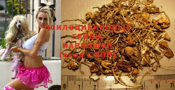 мяу мяу мука Иннополис