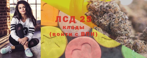 мяу мяу мука Иннополис