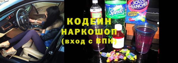 мяу мяу мука Иннополис