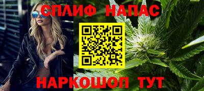гидра Можга
