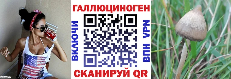 Псилоцибиновые грибы GOLDEN TEACHER  Новомосковск 