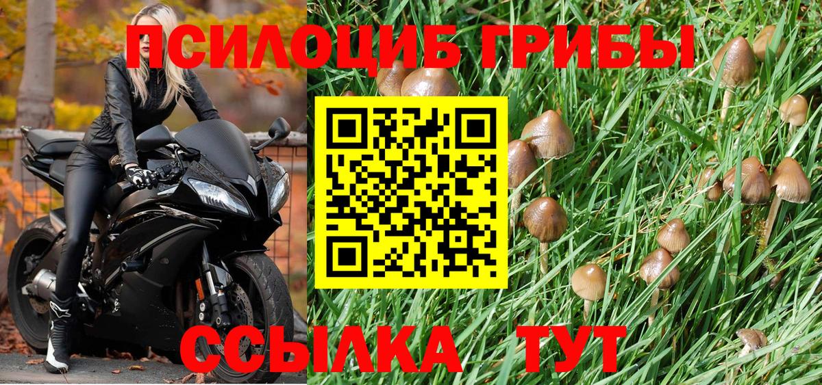 Псилоцибиновые грибы мухоморы Новомосковск