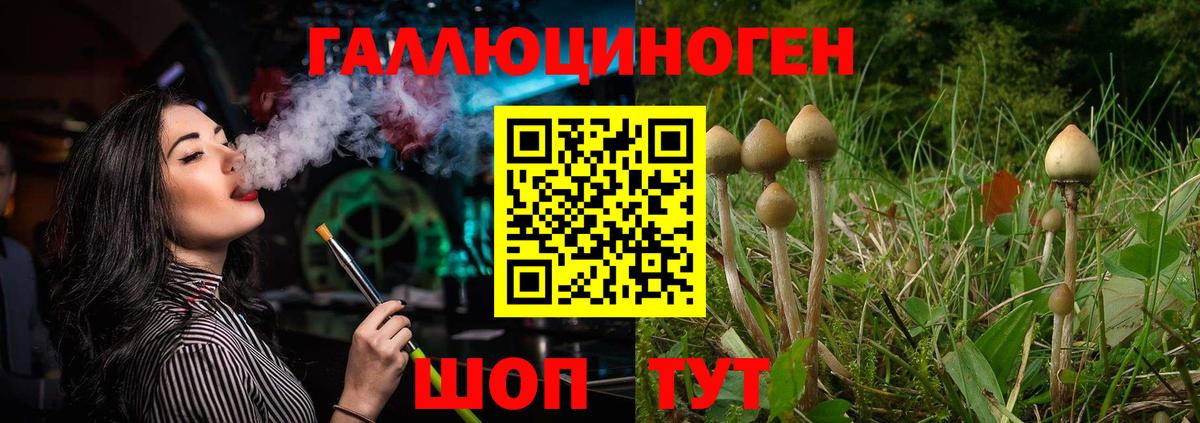Псилоцибиновые грибы Psilocybe  Вход с VPN  Новомосковск 
